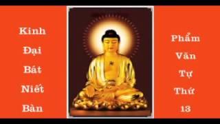 KINH  ĐẠI BÁT NIẾT BÀN - PHẨM VĂN TỰ THỨ 13