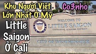 Khu Người Việt Little Saigon - Quận Cam - Cali - California - Khu Người Việt Ở Mỹ - Co3nho 79