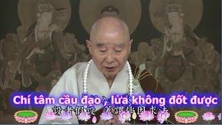 TĐ:2695- Chí tâm cầu đạo , lửa không đốt được