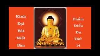 KINH  ĐẠI BÁT NIẾT BÀN - PHẨM ĐIỂU DỤ THỨ 14