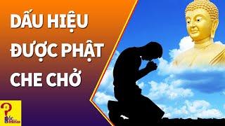 Người được Trời Phật che chở thường có 8 dấu hiệu này - Góc Suy Ngẫm