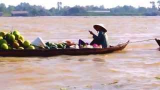 Dòng đời-Phương Mỹ Chi.