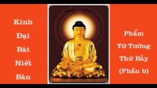KINH ĐẠI BÁT NIẾT BÀN - PHẨM TỨ TƯỚNG THỨ 7 b