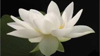 White Tara Mantra (108 Repetitions)