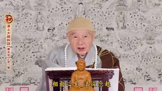 TỊNH ĐỘ ĐẠI KINH KHOA CHÚ.  TẬP - 6. LẦN 5- 2018