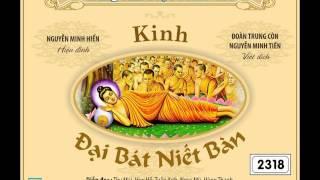 Kinh Đại Bát Niết Bàn (4/137)