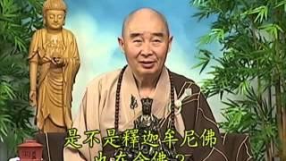 Tập 053 - Kinh Đại Thừa Vô Lượng Thọ - Pháp sư Tịnh Không chủ giảng -  cẩn dịch cư sĩ Vọng Tây