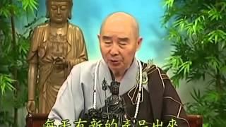 Tập 176 - (HQ) Kinh Đại Thừa Vô Lượng Thọ - Pháp sư Tịnh Không chủ giảng - cẩn dịch cư sĩ Vọng Tây