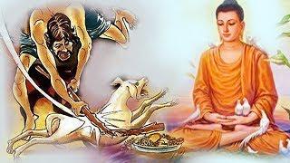 NGhe rơi nước mắt Truyện BÁO ỨNG nhân quả, Hãy nghe dù chỉ 1 lần | Nhân quả báo ứng không sai một ly