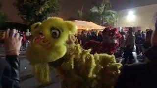 Chùa Điều Ngự chật kín người trong đêm văn nghệ đón giao thừa Canh Tý 2020