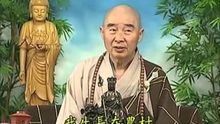 Tập 062 - (HQ) Kinh Đại Thừa Vô Lượng Thọ - Pháp sư Tịnh Không chủ giảng -  cẩn dịch cư sĩ Vọng Tây