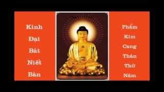 KINH ĐẠI BÁT NIẾT BÀN - PHẨM KIM CANG THÂN THỨ 5