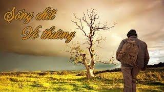 Sống Chết vô thường là một chuỗi dài vô tận của vô số kiếp tái sinh