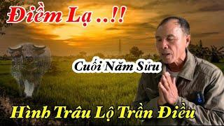 Điềm Lạ Xuất Hiện Trên Trần Điều Lộ Hình Trâu Cuối Năm Sửu