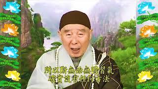 Đại Phương Quảng Phật Hoa Nghiêm Kinh, tập 1474