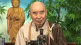 Tập 099 - (HQ) Kinh Đại Thừa Vô Lượng Thọ - Pháp sư Tịnh Không chủ giảng -  cẩn dịch cư sĩ Vọng Tây