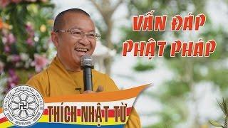 Vấn đáp: Địa Tạng Bồ Tát, Địa ngục và Tây Phương Cực Lạc có hay không? | Thích Nhật Từ