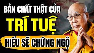 (RẤT HAY) Bản Chất Thật Của Trí Tuệ Hiểu Đúng Sẽ Chứng Ngộ | Thánh Đức Dalai Lama