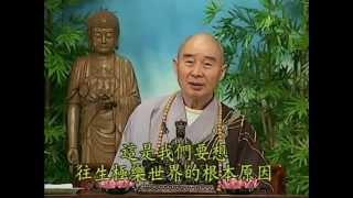 Tập 151 - (HQ) Kinh Đại Thừa Vô Lượng Thọ - Pháp sư Tịnh Không chủ giảng -  cẩn dịch cư sĩ Vọng Tây