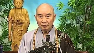 Tập 111 - (HQ) Kinh Đại Thừa Vô Lượng Thọ - Pháp sư Tịnh Không chủ giảng -  cẩn dịch cư sĩ Vọng Tây