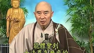 Tập 065 - (HQ) Kinh Đại Thừa Vô Lượng Thọ - Pháp sư Tịnh Không chủ giảng -  cẩn dịch cư sĩ Vọng Tây