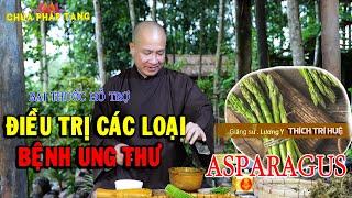 Bài thuốc NGỪA UNG THƯ và Hỗ Trợ Cho Quá Trình Trị Ung Thư (Asparagus) - GS. Lương Y. Thích Trí Huệ