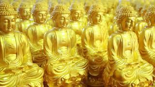 Lục căn , cội nguồn của trí tuệ - Phật học và đời sống