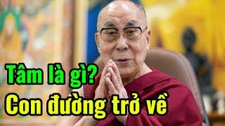 Bài Giảng Thâm Sâu Về Tâm Là Gì? Con Đường Trở Về? - Đức Thánh Đạt Lai Lạt Ma 14. 