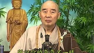 Tập 100 - (HQ) Kinh Đại Thừa Vô Lượng Thọ - Pháp sư Tịnh Không chủ giảng -  cẩn dịch cư sĩ Vọng Tây