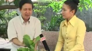 Cây Cải Xanh - Vị thuốc chữa bệnh