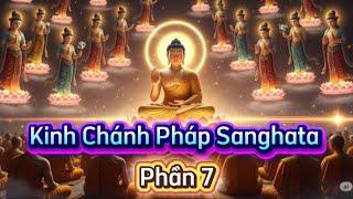 7/7 : Kinh Chánh Pháp Sanghata | A Di Đà Phật .