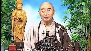 Giảng Kinh Hoa Nghiêm, tập 66 | Tịnh Không pháp sư chủ giảng (HQ)