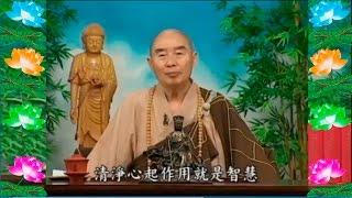 Kinh Đại Phương Quảng Phật Hoa Nghiêm,  tập 0047