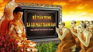 Kinh Tụng Xá Lợi Phất thành đạo ( Có Chữ ) - Đại Đức Thích Trí Thoát