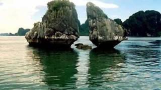 Việt Nam quê hương tôi