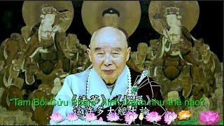 TĐ:2949- “Tam Bối Cửu Phẩm” hình thành như thế nào?