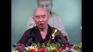 Kinh Vô Lượng Thọ tập 11.mpg - Pháp Sư Tịnh Không