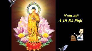 Kinh A Di Đà | Thích Trí Thoát Tụng
