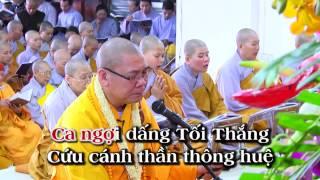 Kinh Vô Lượng Thọ - Thích Trí Thoát tụng