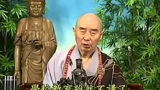 Tập 132 - (HQ) Kinh Đại Thừa Vô Lượng Thọ - Pháp sư Tịnh Không chủ giảng -  cẩn dịch cư sĩ Vọng Tây