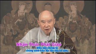 TĐ:2136- A Di Đà bao hàm vô lượng nghĩa