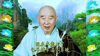 Đại Phương Quảng Phật Hoa Nghiêm Kinh, tập 1471