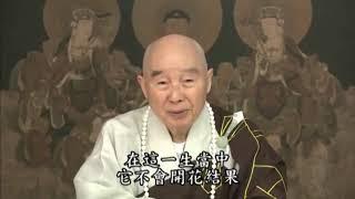 Chúng ta có Phật A Di Đà dẫn dắt, Phât A Di Đà ở đâu Chính là Kinh Vô Lượng Thọ ..