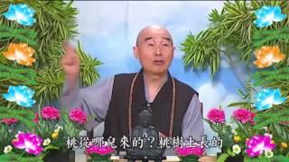 Kinh Đại Phương Quảng Phật Hoa Nghiêm, tập 0263