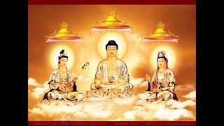Sấm Giảng Người Đời - Ông Sư Vãi Bán Khoai Phần 20