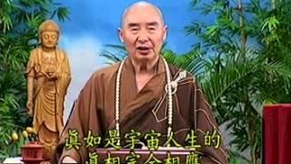 Kinh Vô Lượng Thọ tập 27.mpg - Pháp Sư Tịnh Không