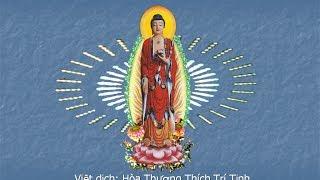 KINH A DI ĐÀ ( BẢN VIỆT VĂN - CÓ CHỮ ) - ĐĐ. THÍCH TRÍ THOÁT TỤNG