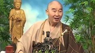 Tập 045 - (HQ) Kinh Đại Thừa Vô Lượng Thọ - Pháp sư Tịnh Không chủ giảng -  cẩn dịch cư sĩ Vọng Tây