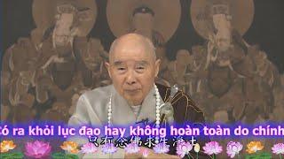 TĐ:489- Có ra khỏi lục đạo hay không hoàn toàn do chính mình