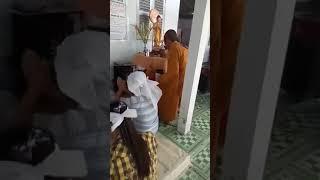 Con CHÓ, HEO, MÈO, CỌP | Đang tập Tụng Kinh | Thiên Đường CSVN 2019